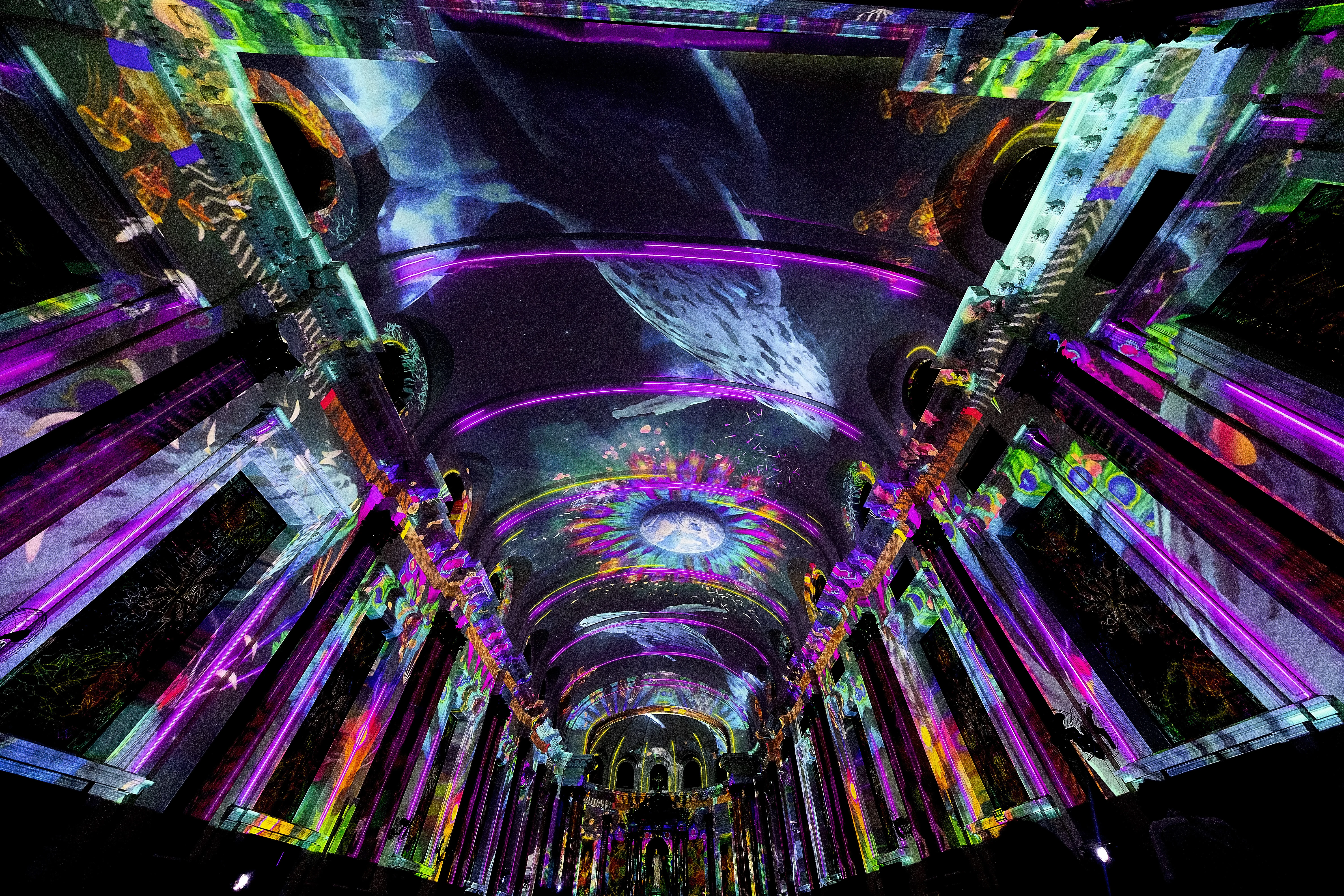 experience