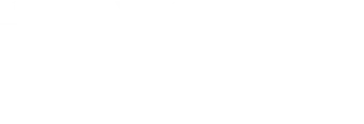 Secret Lyon